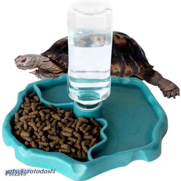 爬虫類 トカゲ クモ カメ 餌やり 皿 水のみ 簡単