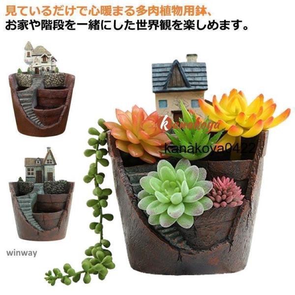 ハオルチア 母の日 植本鉢 多肉植物 寄せ植 ギフト 鉢 お城 プレゼント