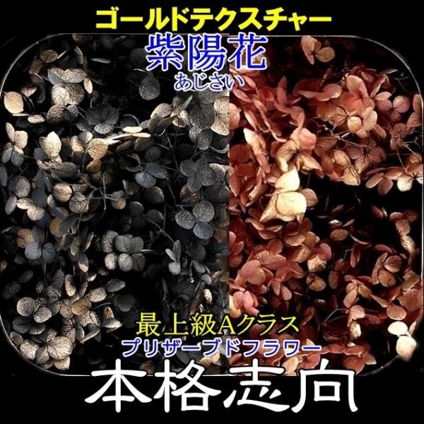 プリザーブドフラワー 最Aランク紫陽花 テクスチャー ドライフラワー テラリウム レジン ハーバリウム レジン素材 レジン混入素材 ウェディング :51510:ぽちの家 - 通販 - Yahoo!ショッピング プリザーブドフラワー 最Aランク紫陽花 テクスチャー ドライフラワー テラリウム レジン ハーバリウム レジン素材 レジン混入素材 ウェディング :51510:ぽちの家 - 通販 - Yahoo!ショッピング