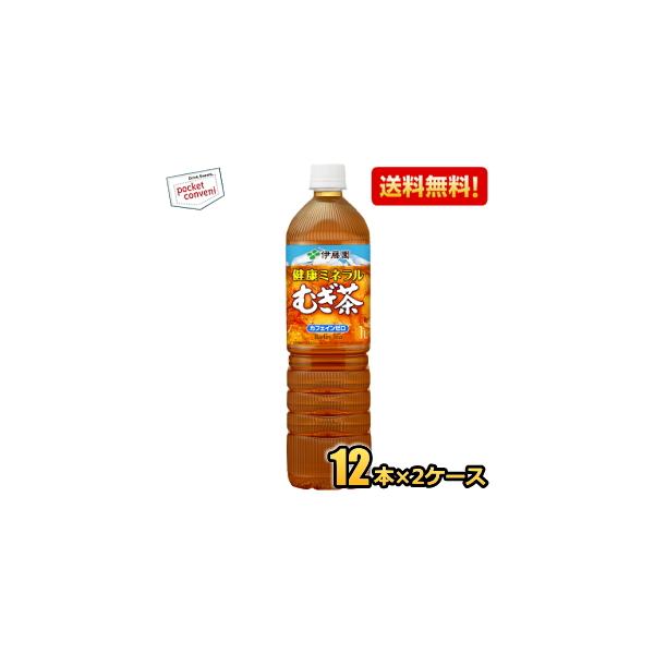 スリムボトル 送料無料 伊藤園 健康ミネラルむぎ茶 1Lペットボトル 24本(12本×2ケース) ミネラル麦茶 爆買