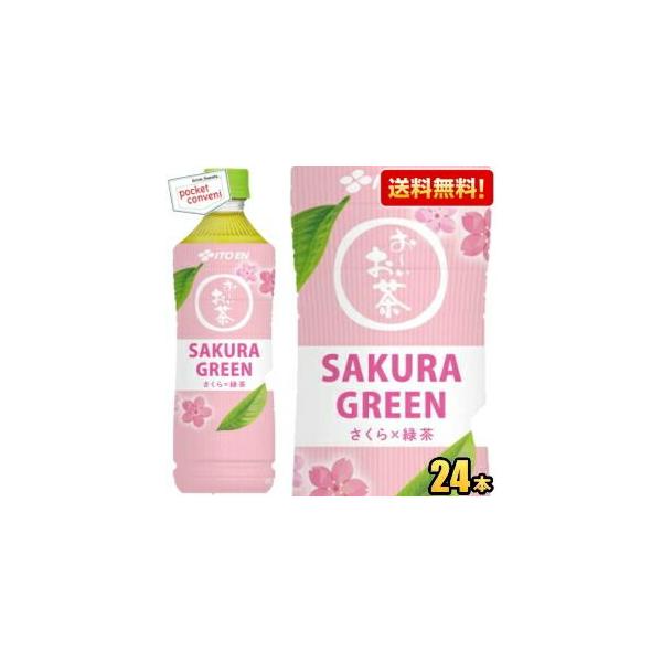 送料無料 伊藤園 おーいお茶 SAKURA GREEN さくら緑茶 600mlペットボトル 24本 お茶 緑茶 さくら×緑茶
