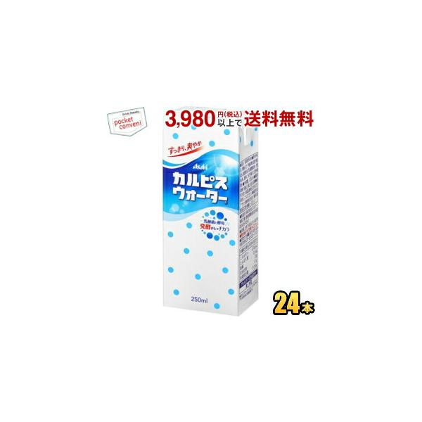 エルビー カルピスウォーター 250ml紙パック 24本入