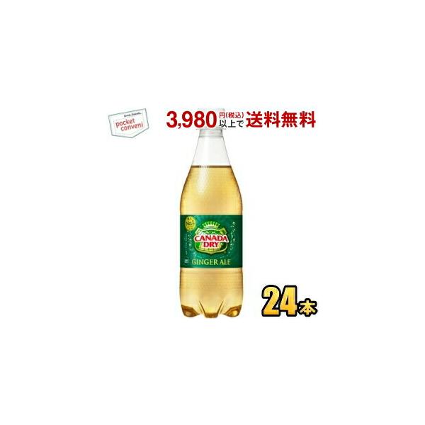 炭酸飲料 ジンジャーエールの人気商品・通販・価格比較 - 価格.com 炭酸飲料 ジンジャーエールの人気商品・通販・価格比較 - 価格.com