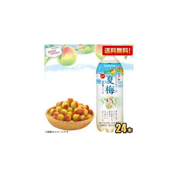 送料無料 チョーヤ CHOYA 夏梅ソーダ 500gペットボトル 24本入 炭酸飲料 なつうめソーダ 梅ジュース 紀州産南高梅使用