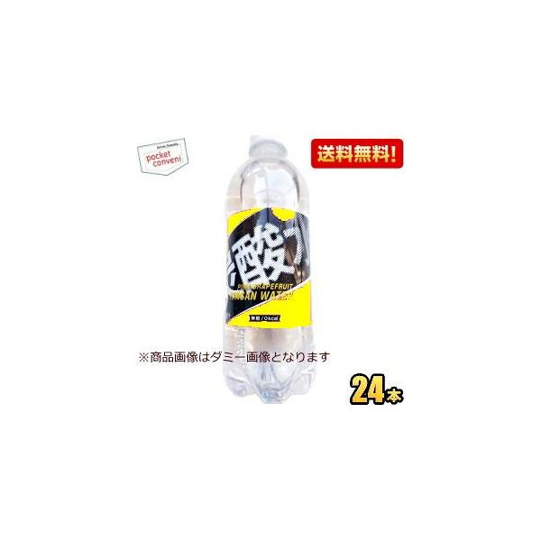 在庫処分 送料無料 LDC 強炭酸水 ライム 500mlペットボトル 24本入 ライフドリンクカンンパニー 【賞味期限2026年9月末】