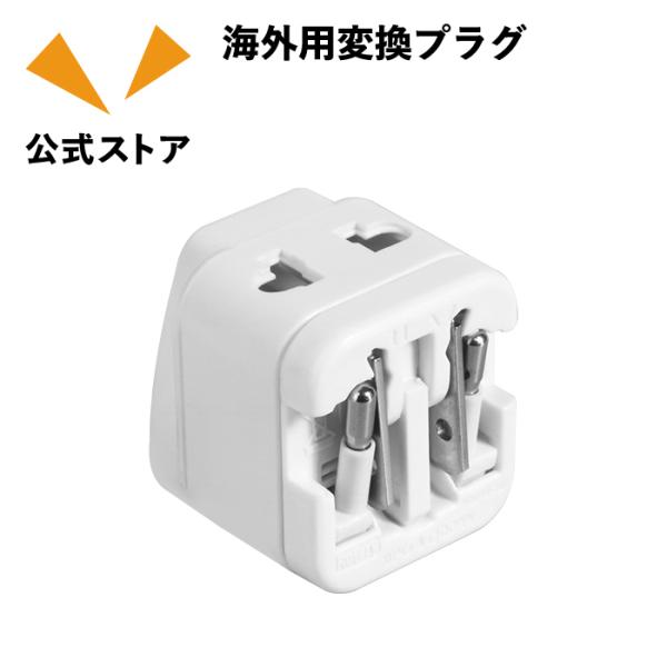 海外用変換プラグ（DGP-TPC01）