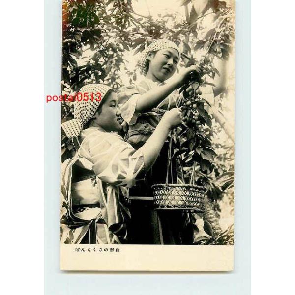 0368 山形 さくらんぼ アンティーク絵葉書 Buyee Buyee Japanese Proxy Service Buy From Japan Bot Online