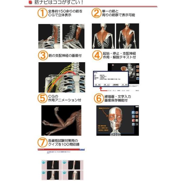 ソフトウェア Cgで見る筋肉図典 筋ナビ1 01 Buyee Buyee 提供一站式最全面最專業現地yahoo Japan拍賣代bid代拍代購服務 Bot Online