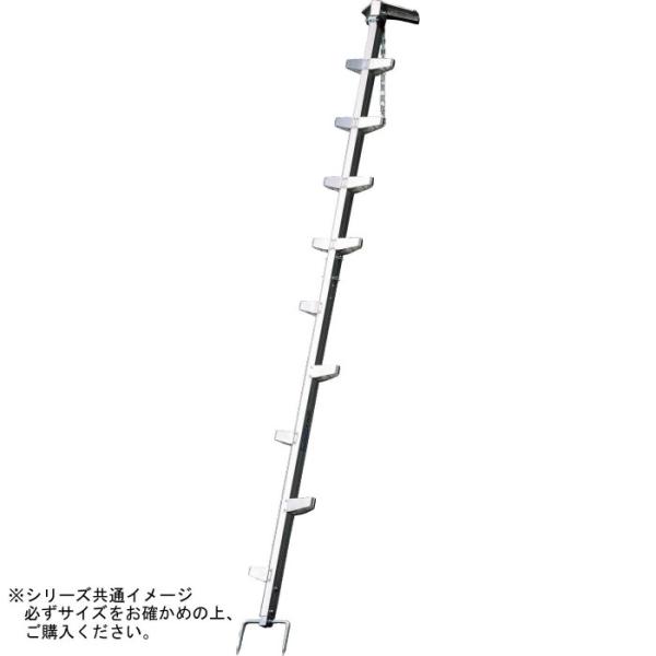 pocketcompany_1608613