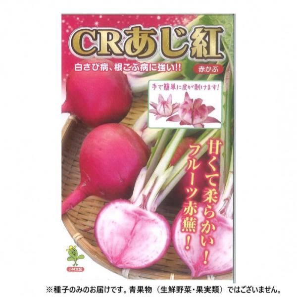 カブ種子 あじ紅 20ml 中かぶ 種 赤カブ 家庭菜園 農業