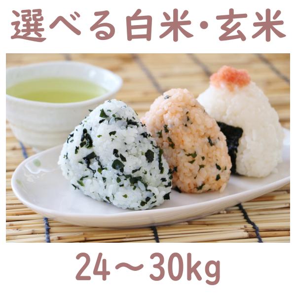 あきたこまち 米 お米 30kg 2025年 選べる白米・玄米 24〜30kg