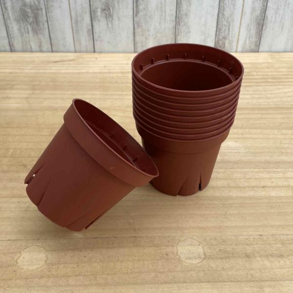 pocoloco_slitpot-wd-100-10