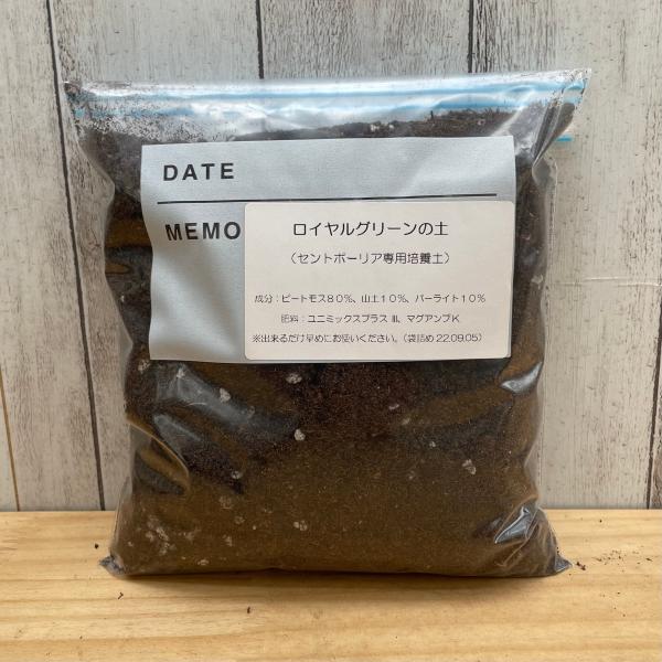 ⭐︎専用⭐︎オリジナルセントポーリア用土 セントポーリア 専用培養土 1リットル : フラワーショップ