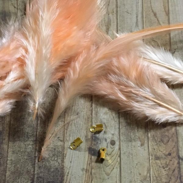 AtFU[ H T[IW 10Zbg 10-15cm t