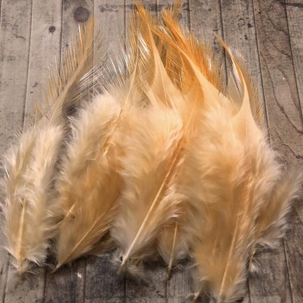 AtFU[ H XLx[W 10Zbg 5-10cm t