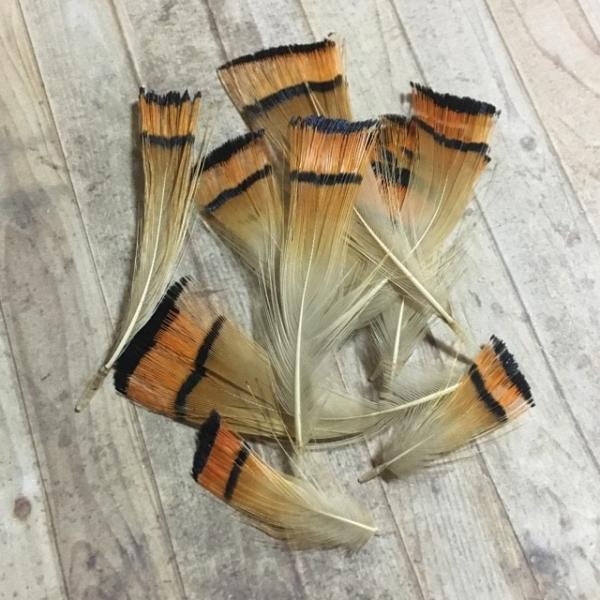 AtFU[  LWE H  10 2-3cm t