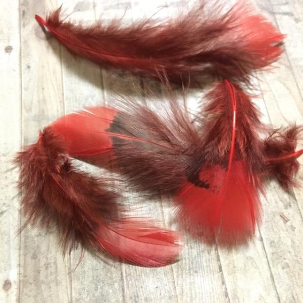 c[g[ AtFU[ bh H  10Zbg 5-8cm t