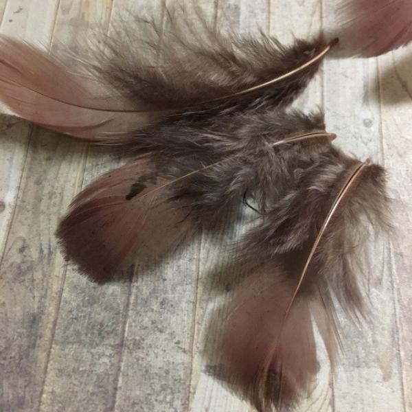 c[g[ AtFU[ uE H  10Zbg 5-8cm t