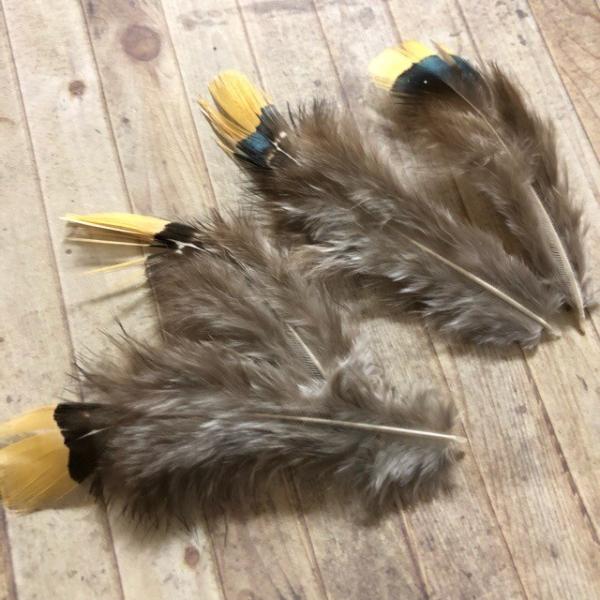 ӂӂtFU[ H LWF 10Zbg 4-8cm t