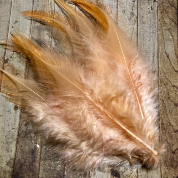 AtFU[ H T[IW 10Zbg 5-10cm t