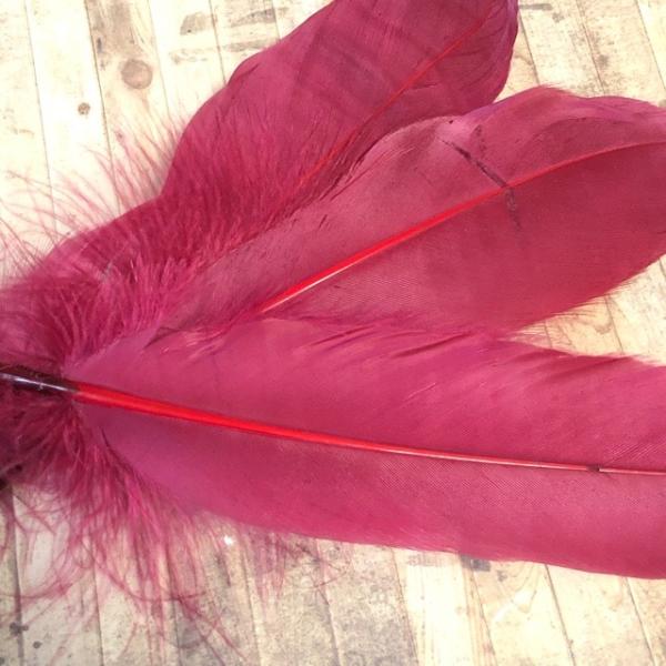 O[X A tFU[ H {h[ 10Zbg 10-20cm