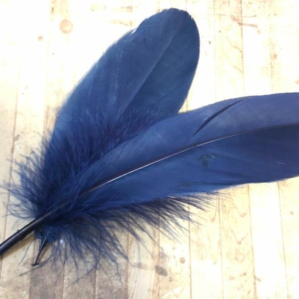 O[X A tFU[ H lCr[ 10Zbg 10-20cm