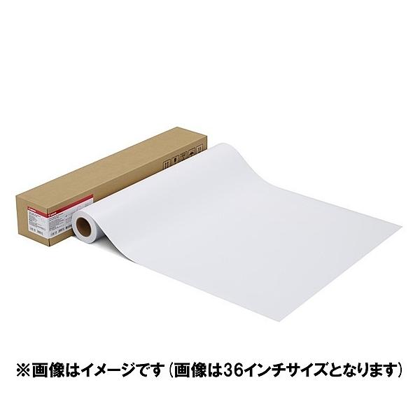 Canon 1107C001 ʐ^pE v(v`iO[h) LFM-GPPT/ 42/ 300