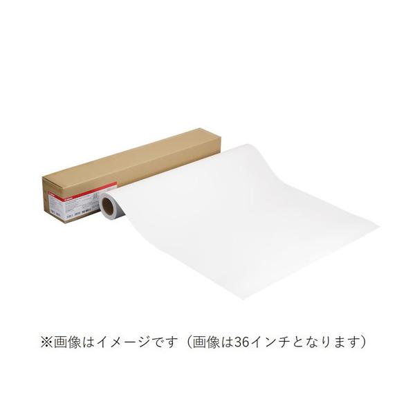 Canon 2347C024 �ϐ��|�X�^�[�r�j�[��(�}�b�g)�Еt LFM-WRAV2/ 24/ 310