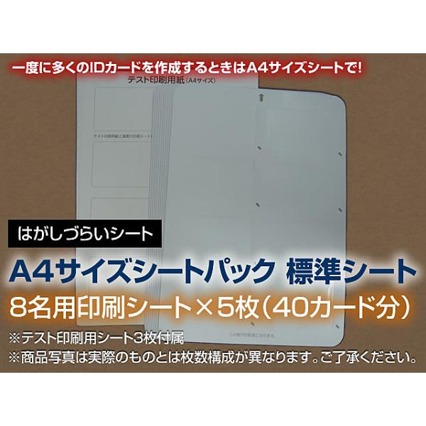 NmX 34186 ǉV[giA4TCY8×5j