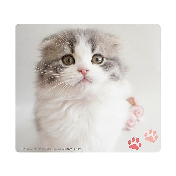 TTvC MPD-215E }EXpbhiXReBbVtH[hj