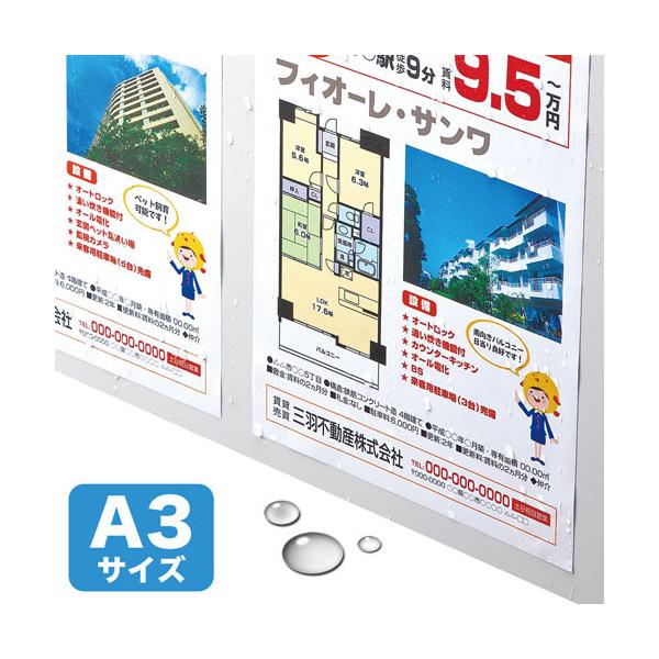 TTvC LBP-WPF12MDPN-A3 J[[U[pϐiWEA3j