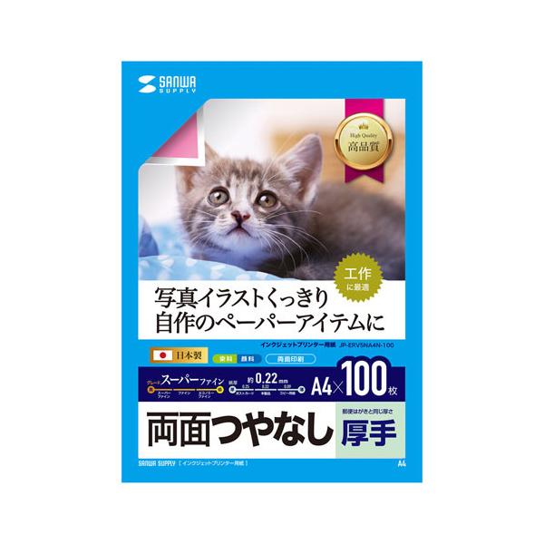 TTvC JP-ERV5NA4N-100 CNWFbgpʈEieʁEA4TCYE100j