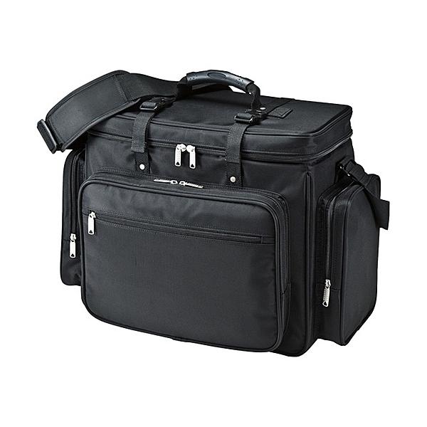 TTvC BAG-PRO4 vWFN^[obOi15.6C`ChΉEubNj