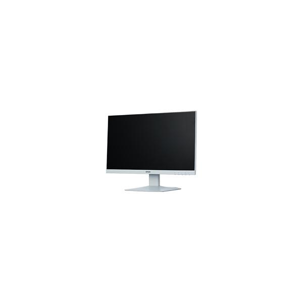 EPSON MC2Y003873 LD22W94L （21.5型ワイド/ 1920×1080/ ミニD-sub 15