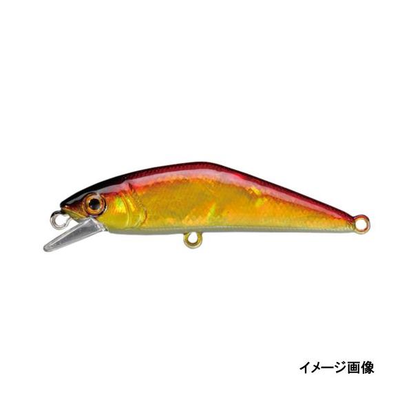 スミス　Dコンタクト　アワビ　4個セット point-i_4511474233918