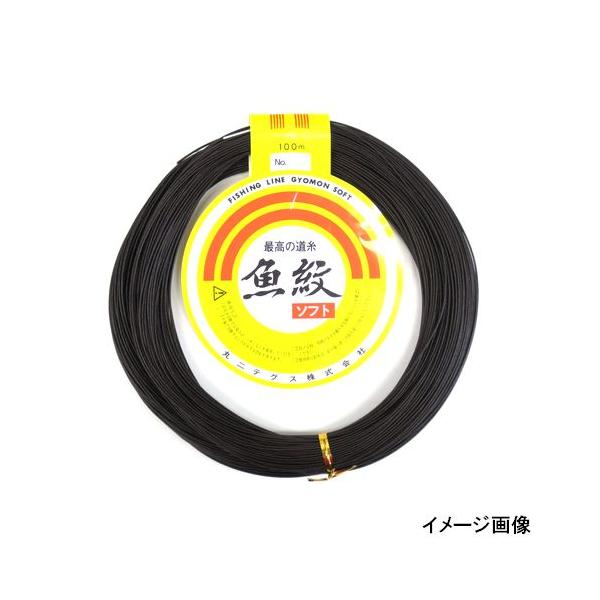 ★★★♾★★★さま専用です。 DOSHISHA LEDライト サーキュライト 選べる2大特典 メガ
