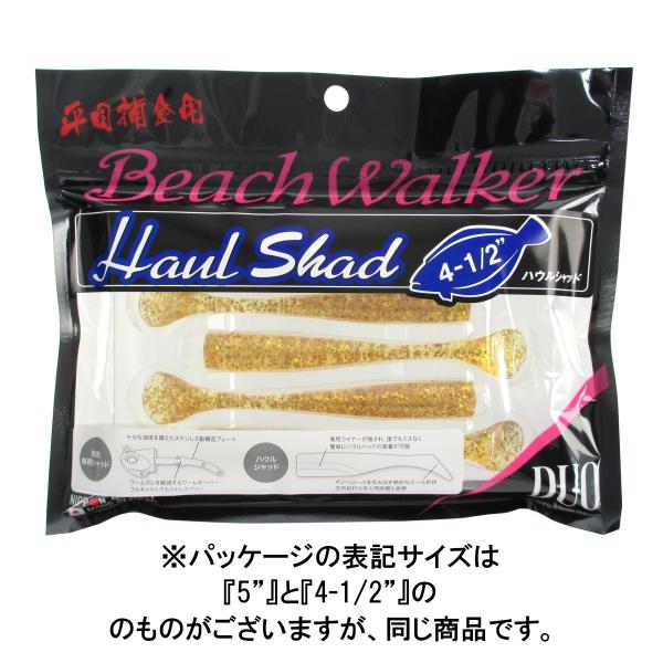 DUO ワーム ビーチウォーカー ハウルシャッド 5インチ S010(堀田