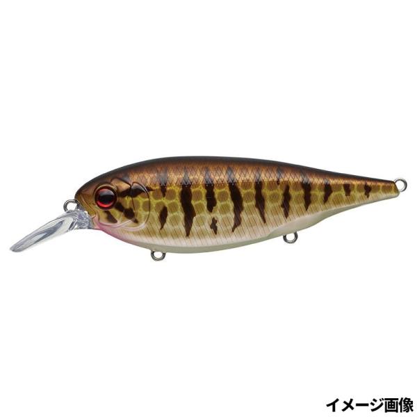 エバーグリーン（EVERGREEN） ルアー モード エックスオーバー #392