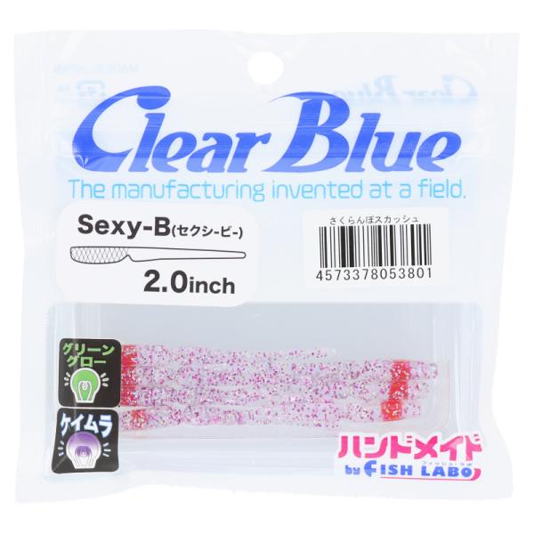 アジング ワーム 46パックセット reins ClearBlue 34 等 アジング ワーム 46パックセット reins ClearBlue 34 等 - メルカリ