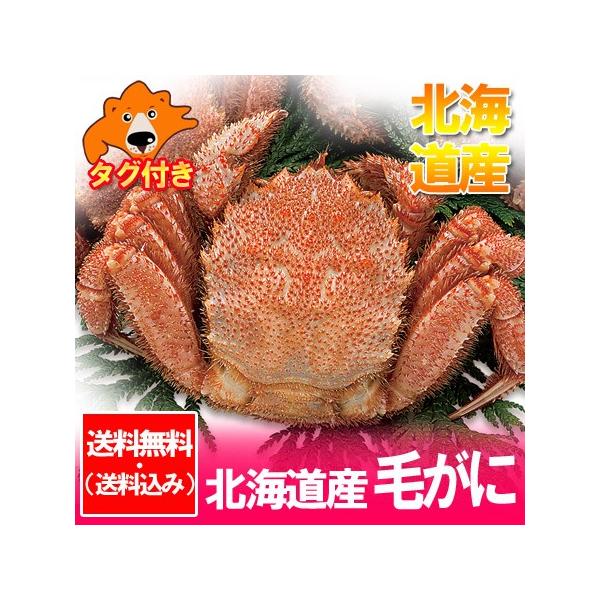 уKj  т kC  {C уKj kCY ъI l䥂 уKj 570g×1  CY Jj уKj ^Ot 10000 ~ |bL