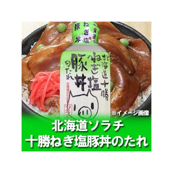 豚丼のたれ ねぎ塩 ソラチ 豚どんのたれ ねぎ塩 ソラチのタレ 北海道 ブタ丼 ソラチ 十勝豚丼 タレ 調味料 ねぎしお