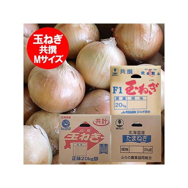 名称：北海道 野菜 たまねぎ玉葱 内容量：北海道産 玉ねぎ 20kg (箱含む総重量)規格：たまねぎ Mサイズ産地：タマネギ 北海道 富良野産 もしくは 北見F1 もしくは 名寄たまねぎの保存方法：玉葱 は、直射日光を避け涼しいところで保管...