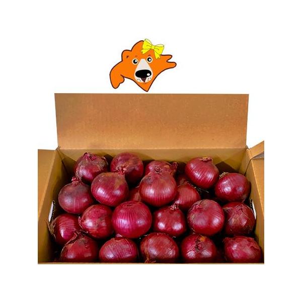 名称：北海道 野菜 赤たまねぎ アーリーレッド内容量：北海道産 たまねぎ アーリーレッド 10kg (箱含む総重量)産地：赤 タマネギ 北海道規格：赤 玉葱 Mサイズ保存方法：赤玉ネギ は、直射日光を避け涼しいところで保管して下さい。配送区...