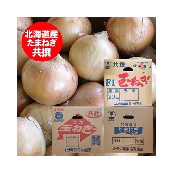 名称： 北海道産 たまねぎ 20kg内容量： 玉ねぎ 20kg Lサイズ保存方法： 玉葱 は、直射日光を避け涼しいところで保管して下さい。産地： 北海道 富良野産 玉ねぎ,もしくは北見F1 もしくは 名寄 玉ねぎ配送区分： 玉ねぎ 20kg...