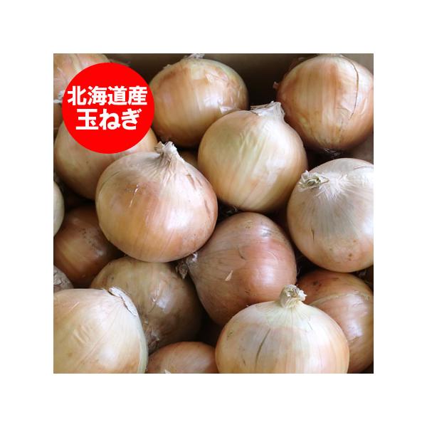 名称：北海道 野菜 玉ねぎ玉葱 内容量：北海道 たまねぎ 10kg (箱含む総重量)規格：たまねぎ Mサイズ産地：タマネギ 北海道産 富良野 もしくは 北見F1 もしくは 名寄たまねぎの保存方法：玉葱 は、直射日光を避け涼しいところで保管し...