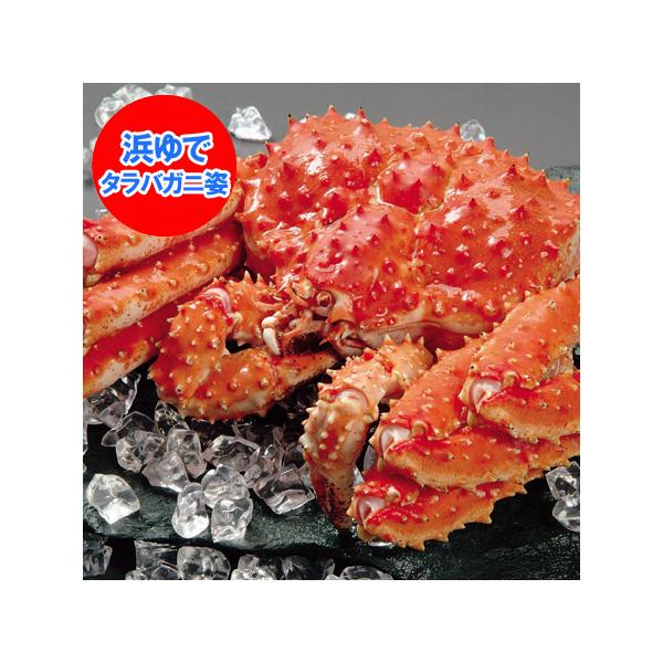 ミコ屋北海道加工 天然 タラバガニ 足 たらば蟹 約5kg 5肩前後 大容量