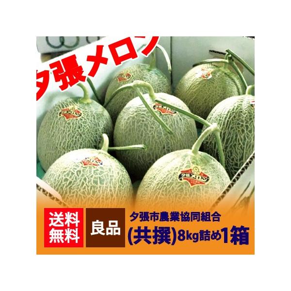 夕張メロン 送料無料 夕張メロン 8kg 共撰 夕張 メロン 良品 7玉入 1箱(1ケース) 夕張農協共撰メロン ゆうばりめろん 果物 フルーツ メロン くだもの