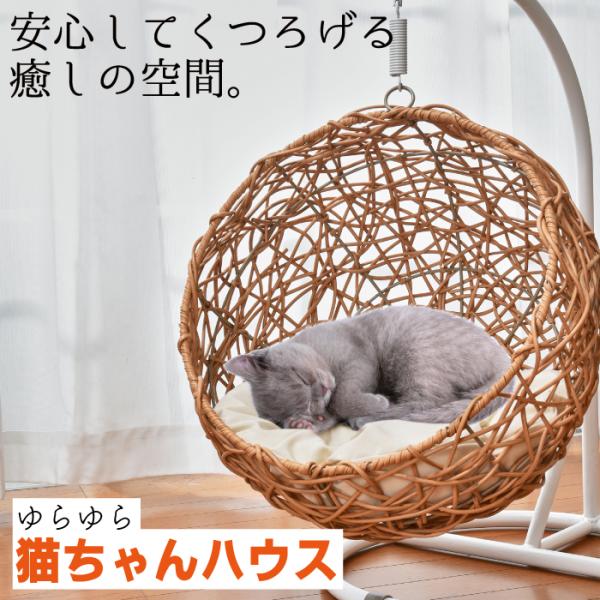pointlife_4582655771703 pointlife_4582655771703