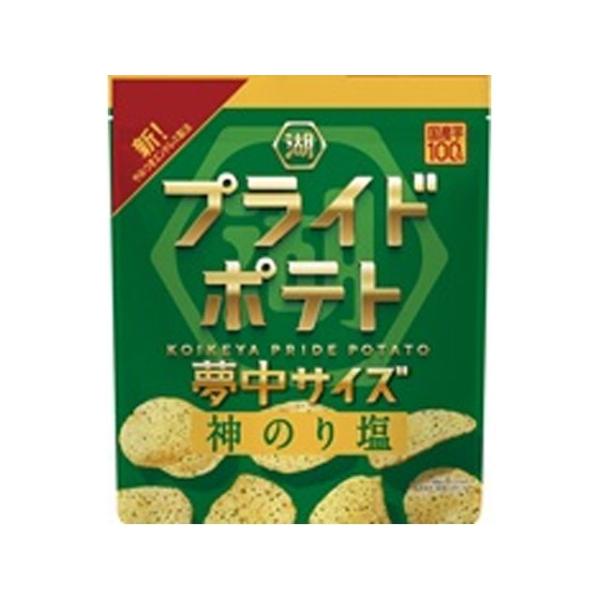 湖池屋 プライドポテト 神のり塩 夢中サイズ×12袋
