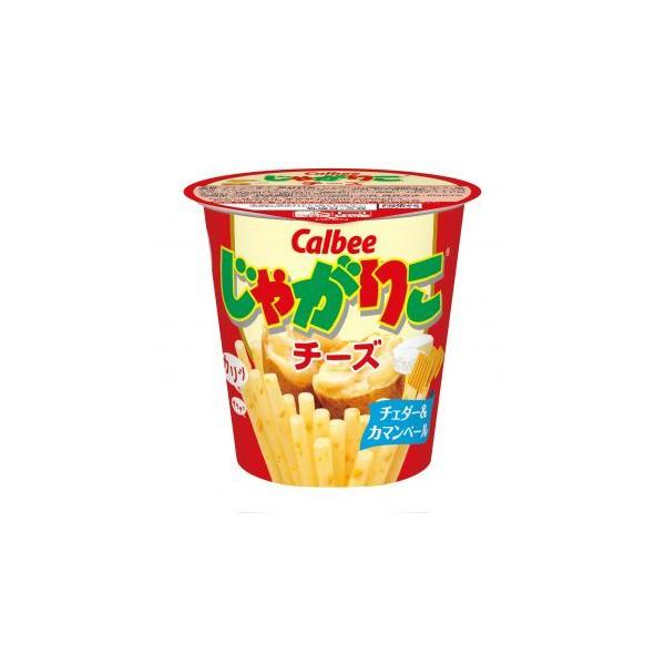 じゃがりこ カルビー チーズ 55g×12入 : スナック菓子のポイポイ